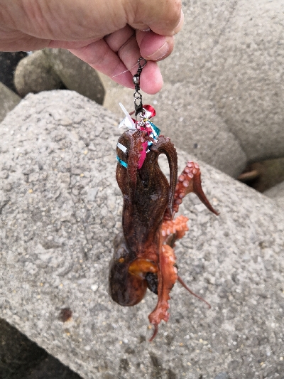 オクトパッシング