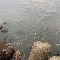 とうとう、爆ったよ！