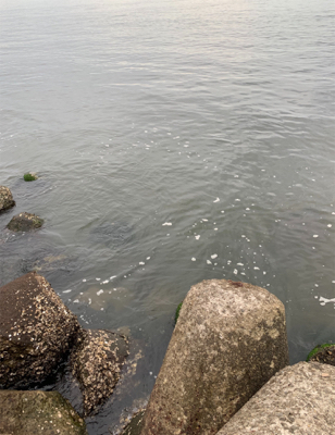 とうとう、爆ったよ！