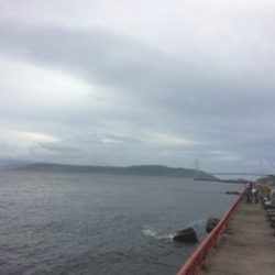 濁流でもカゴでマダイ