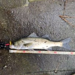 今日も早起きして(^^)v