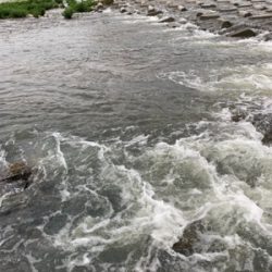 夕まづめにナマズゲーム