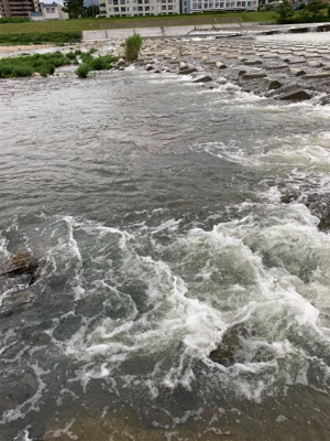 夕まづめにナマズゲーム