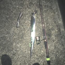 厳しい中での貴重な釣果