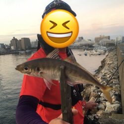 夕まずめアジングゲーム☆GUNNING-STYLE