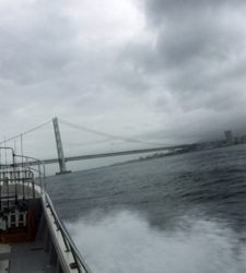 ビックファイター釣行 ジギング タコ便