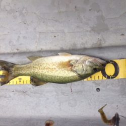 去年より渋くなった!?