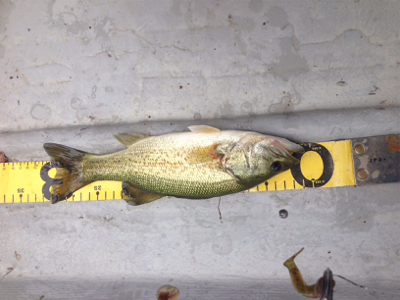 去年より渋くなった!?