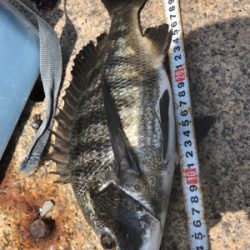 いい濁りで高活性！