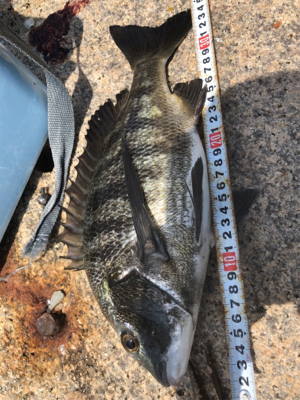 いい濁りで高活性！