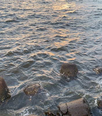 今日も、オクトパッシング ！