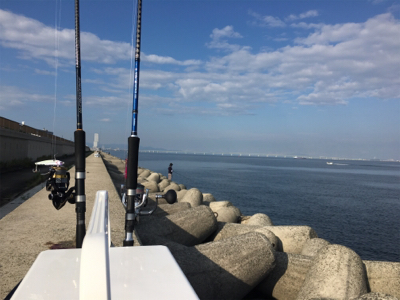 青物かと思いきやシーバス