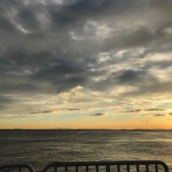 サビキは良く釣れます^ ^