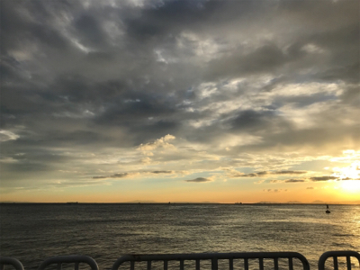 サビキは良く釣れます^ ^