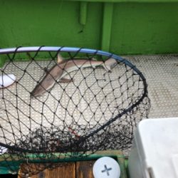 孝洋丸 落とし込み