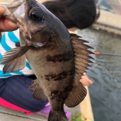 山田〜大船渡にて