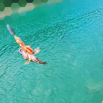 ロックフィッシュ釣行