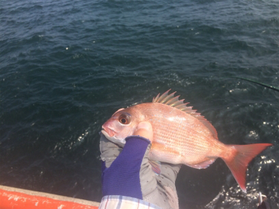 チャリコ猛攻かわしきれず