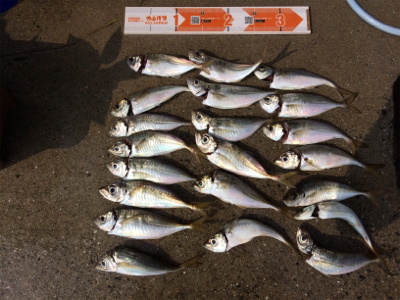 台風一過ライトゲーム