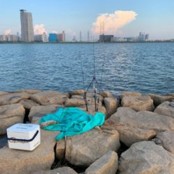 夕方からうなぎぶっ込み釣り