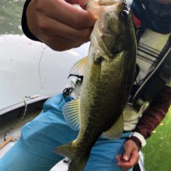 台風後の七色ダム