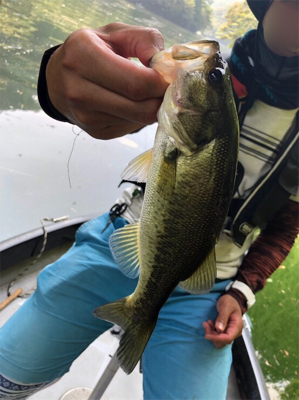 台風後の七色ダム