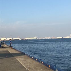 昼からツバス祭り