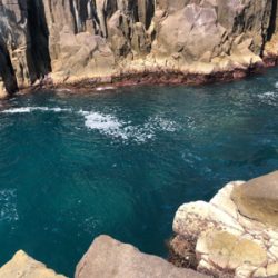 マルヒサ渡船上物釣り