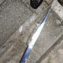 7/13釣果太刀魚でっかいアジツバス豆アジ