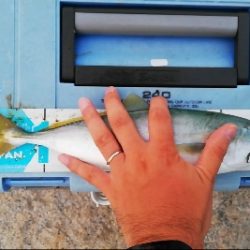 シャローエリアで一投目から…