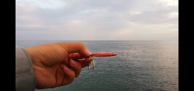 ツバス回って来ました