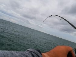 ツバス。色々な釣り方で。