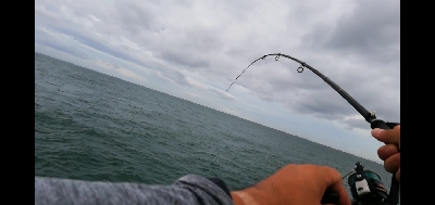 ツバス。色々な釣り方で。