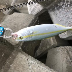 台風の影響あるなー