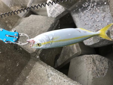 台風の影響あるなー