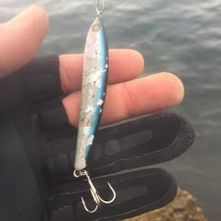 シーバスロッドでブンブン