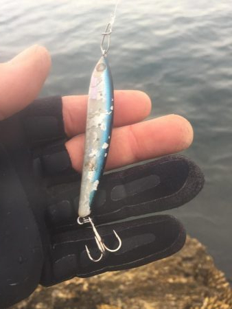 シーバスロッドでブンブン