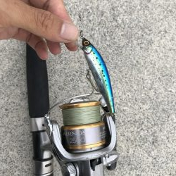 神戸ランガン7月24日