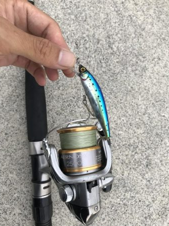 神戸ランガン7月24日