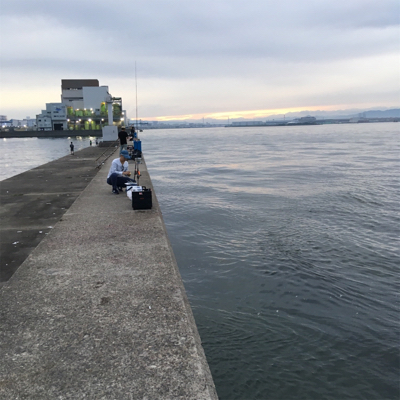 アジングタックルでサバとツバス!