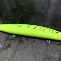 エイはキライです(-_-;)