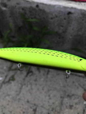 エイはキライです(-_-;)