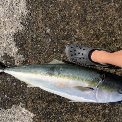 ショアジギング