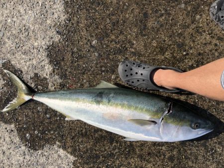 ショアジギング