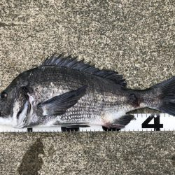 イチノ兄弟、釣果！