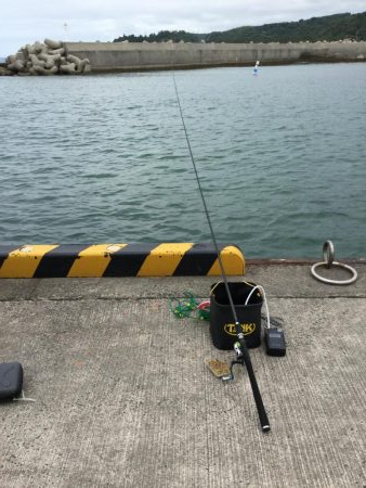 橋津港内チョイ投げ