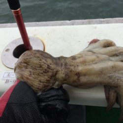 東二見   住吉丸釣果