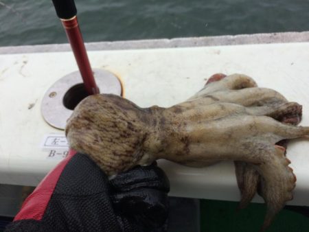 東二見   住吉丸釣果