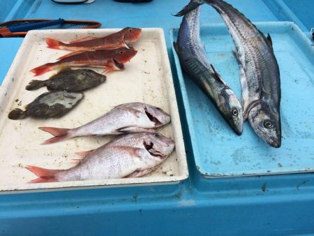 有田  よく釣れてます！