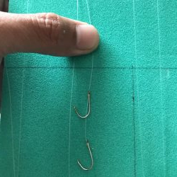 アジュール大サバ